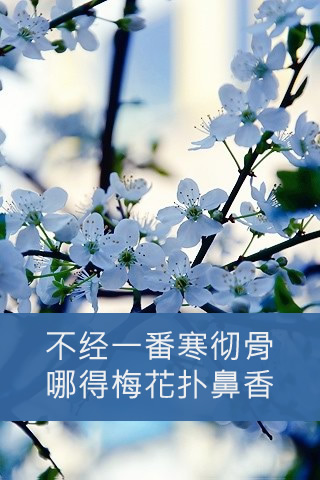 宇冠鞋材-不经一番寒彻骨，哪得梅花扑鼻香